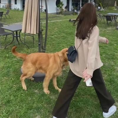 鱼缸里的生活